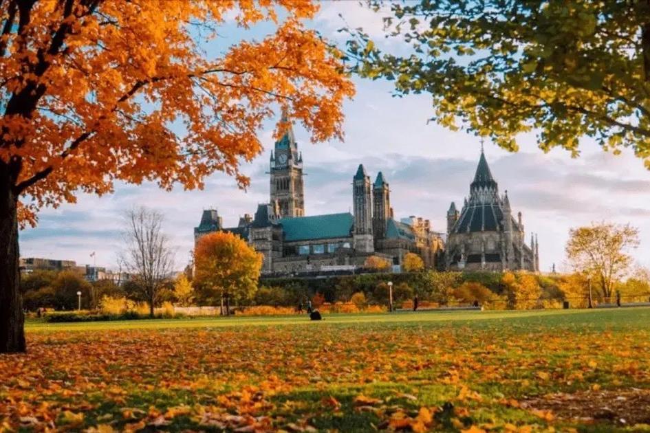 加拿大快递查询（加拿大快递单号查询入口）