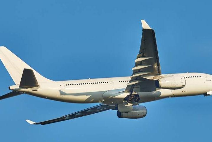 国际空运全解析:散货拼舱与包机运输怎么选?