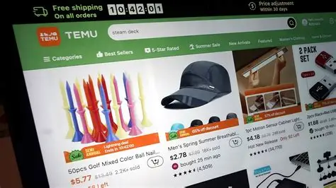 欧盟3欧元小包税满月:Temu法国销量腰斩,本地仓成唯一“减震器”