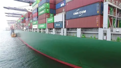 澳洲物流单号怎么查?主流渠道与查询方法