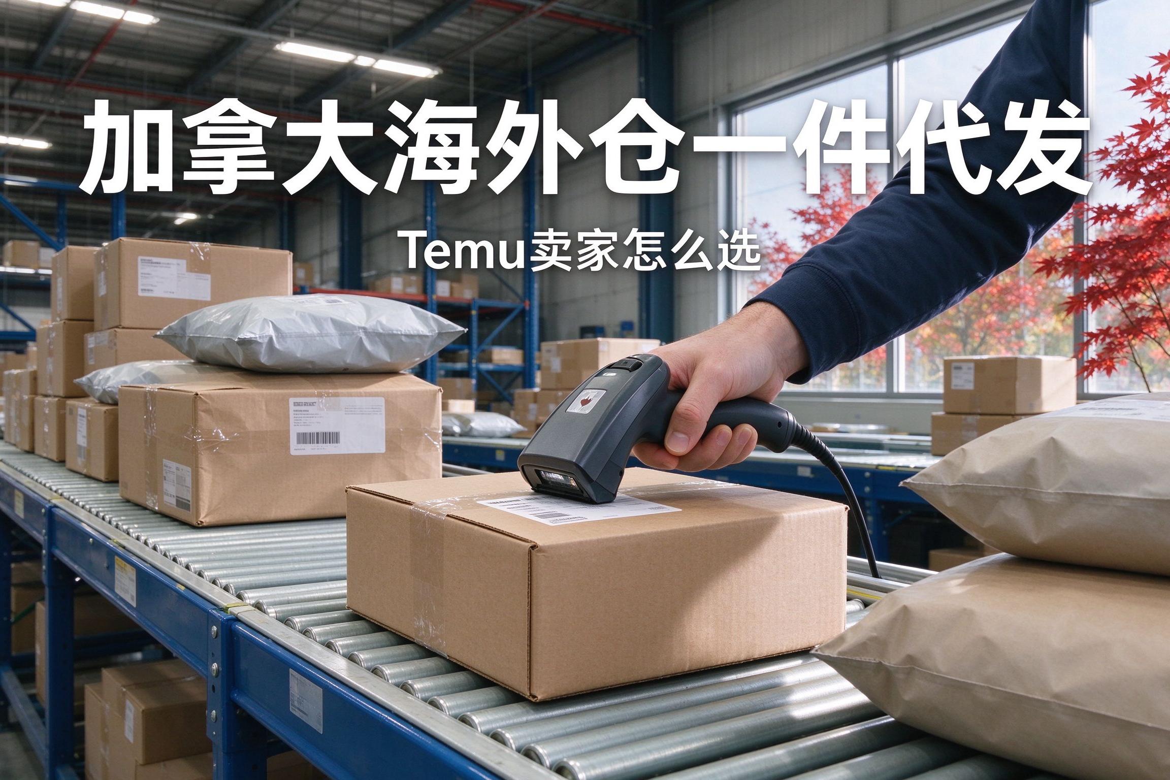 加拿大海外仓一件代发，Temu卖家怎么选？