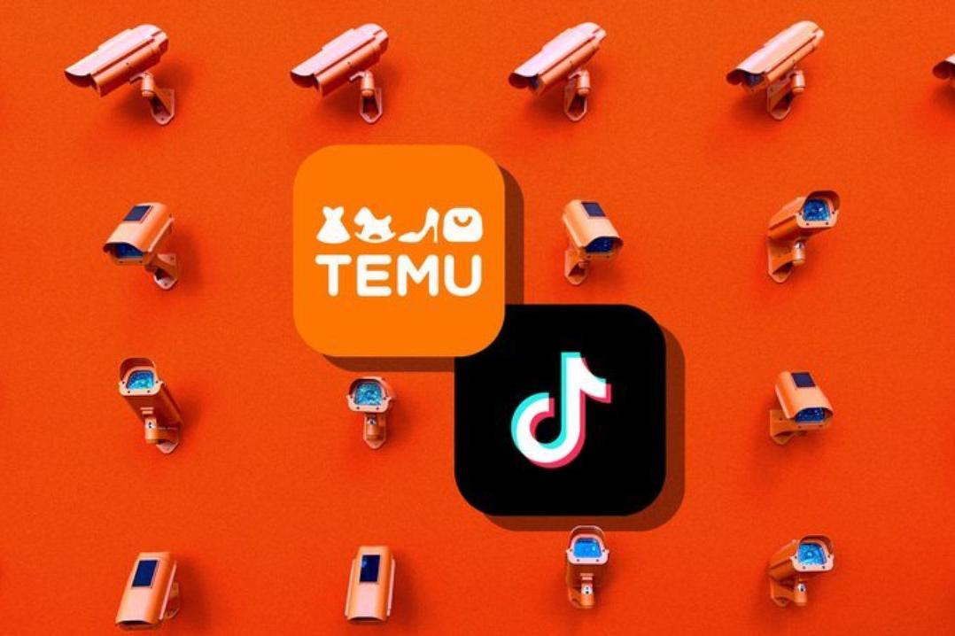 同时做TEMU/TikTok Shop，德国海外仓怎么选？