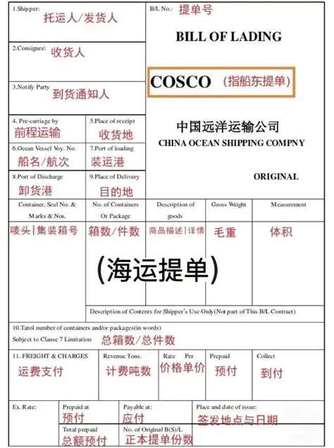 海运提单,提单类型,单据勾稽